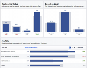 Facebook Audience Insight